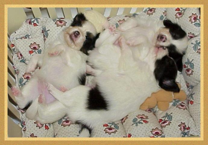 Naptime