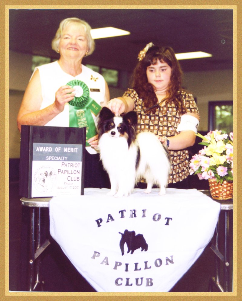 AOM Patriot Papillon Specialty